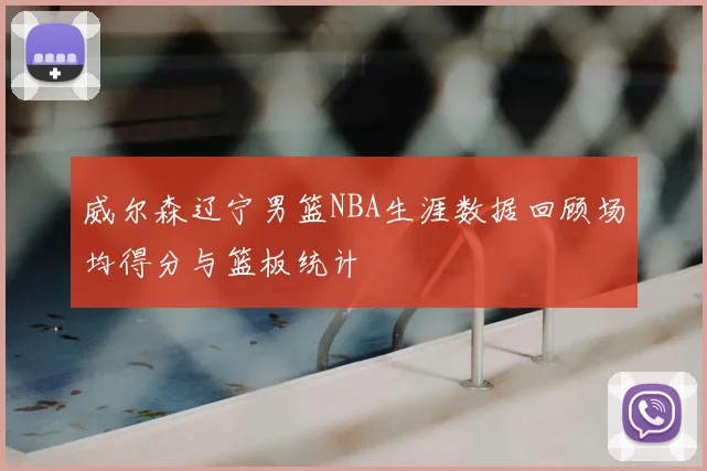 威尔森辽宁男篮NBA生涯数据回顾场均得分与篮板统计
