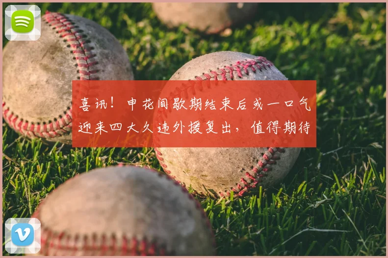 喜讯！申花间歇期结束后或一口气迎来四大久违外援复出，值得期待