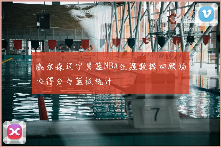威尔森辽宁男篮NBA生涯数据回顾场均得分与篮板统计
