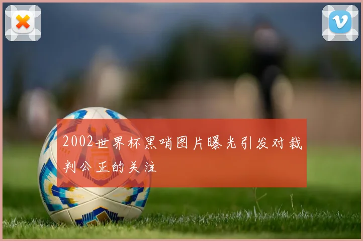 2002世界杯黑哨图片曝光引发对裁判公正的关注
