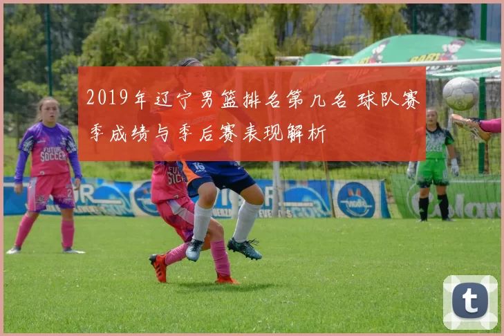 2019年辽宁男篮排名第几名 球队赛季成绩与季后赛表现解析