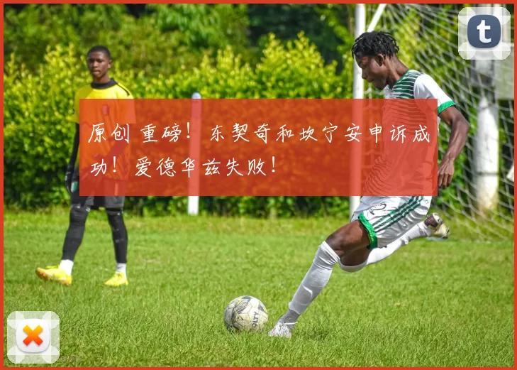 原创 重磅！东契奇和坎宁安申诉成功！爱德华兹失败！