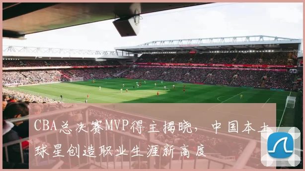 CBA总决赛MVP得主揭晓,中国本土球星创造职业生涯新高度