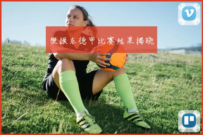 樊振东德甲比赛结果揭晓