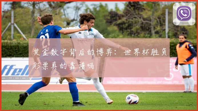 奖金数字背后的博弈：世界杯胜负彩票真的靠谱吗
